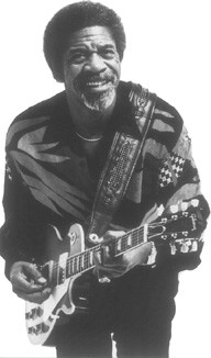 Luther Allison - Videos and Albums - VinylWorld