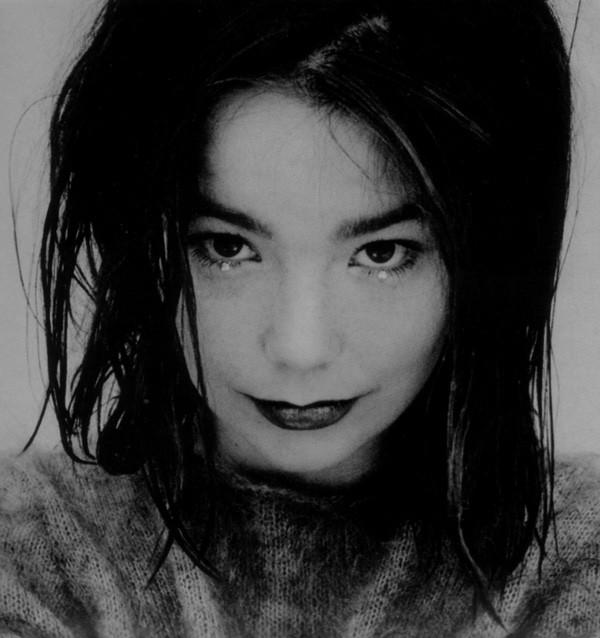 Björk Guðmundsdóttir - Videos and Albums - VinylWorld