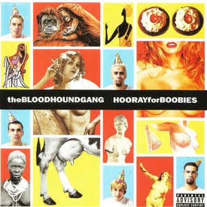 Hooray For Boobies - Album Cover - VinylWorld