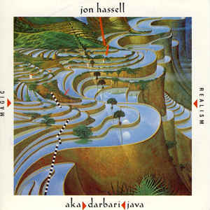 Aka / Darbari / Java - Magic Realism - Album Cover - VinylWorld