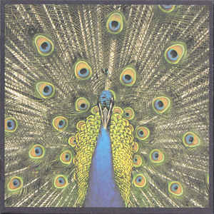 The Bluetones - Expecting To Fly - Album Cover