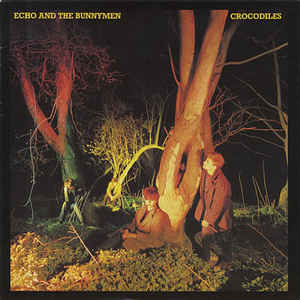Crocodiles - Album Cover - VinylWorld