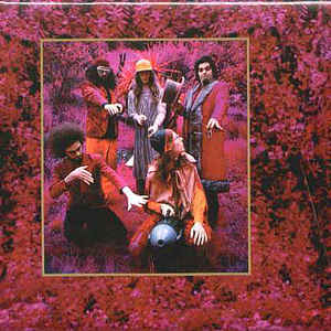 Captain Beefheart And His Magic Band - Grow Fins: Rarities (1965-1982) - Album Cover