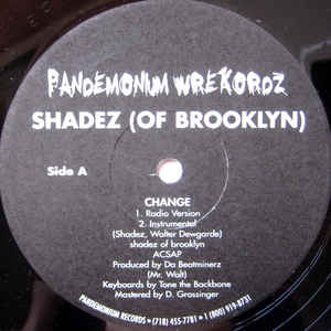 Shadez Of Brooklyn - Change / When It Rains It Pours (Survival Warz) - Album Cover