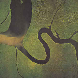 Dead Can Dance - The Serpent's Egg - Album Cover