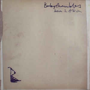 Babyshambles - Down In Albion - Album Cover